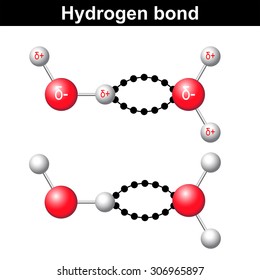 Hydrogen bond chemical illustration,  ionic interaction, 3d water model, vector isolated on white background, eps 8