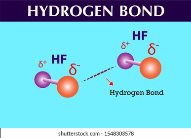 Hydrogen Bond Chemistry Lesson Infographic 스톡 벡터(로열티 프리) 1548303578 ...