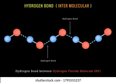 Hydrogen Bond. Inter molecular Hydrogen Bond between HF Molecule. Hydrogen bridge bond between Hydrogen Fluride molecule. 