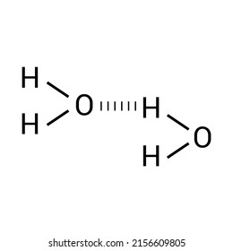 hydrogen bond two water molecules