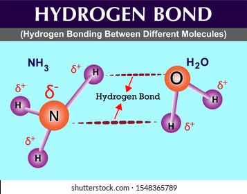 Hydrogen Bond Images, Stock Photos & Vectors | Shutterstock