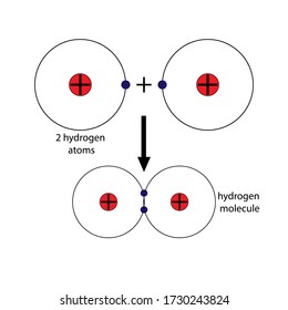 Hydrogen molecule, science chemistry atoms and ions vector stock