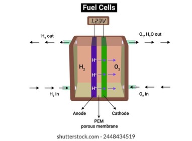 Hydrogen oxygen fuel cell or Scheme of a fuel cell