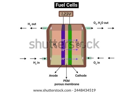 Hydrogen oxygen fuel cell or Scheme of a fuel cell
