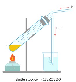 Hydrogen sulfide production process. Vector illustration of Hydrogen sulfide reaction. Chemistry diagram clip art.