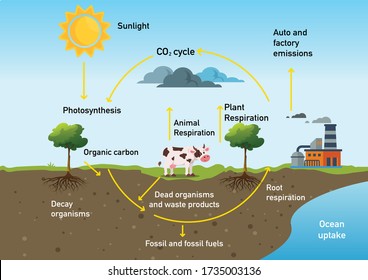 7,604 Hydrology Images, Stock Photos & Vectors | Shutterstock