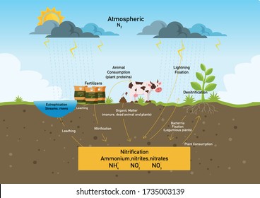 der hydrologische Zyklusprozess visuell für den lehrgang. Wasser, Hydrologie, Zyklus, Infografik und Landschaft. Vektor-Flachbild