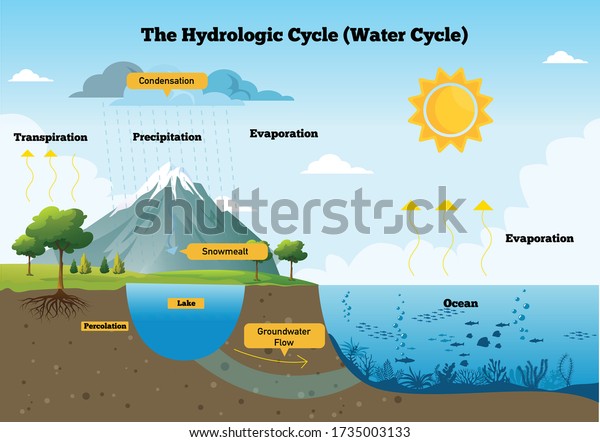 the hydrological cycle process visually for\
learning course. water, hydrological, cycle, infographic, and\
landscape. Vector flat\
illustration