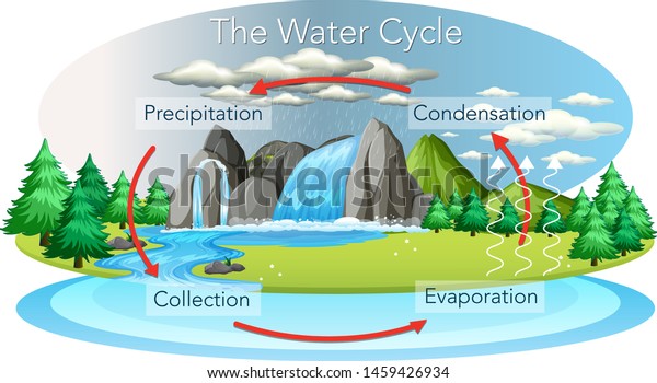The hydrological water\
cycle on Earth