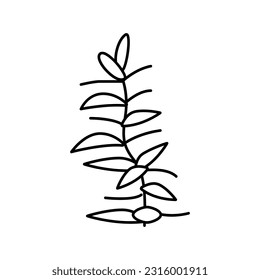 hydrophilia polyspermy line icon vector. hydrophilia polyspermy sign. isolated contour symbol black illustration