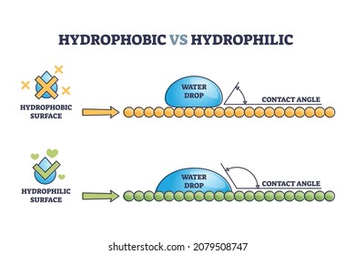 Hydrophobic vs hydrophilic surface drop effect outline diagram. Labeled educational physical explanation with liquid contact angle and its tension force vector illustration. Water resistant material.