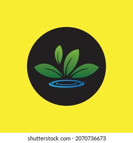 hydropinic plant logo on black and yellow circle background