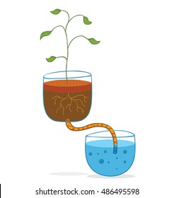 hydroponic concept