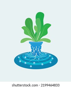 Hydroponic concept of root absorbing water and nutrients. Growing vegetable vector. Urban farming, modern farming