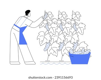 Hydroponic cucumber production abstract concept vector illustration. Farmer growing cucumbers in greenhouse, agriculture industry, vegetables processing-manufacturing sector abstract metaphor.