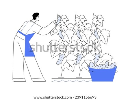 Hydroponic cucumber production abstract concept vector illustration. Farmer growing cucumbers in greenhouse, agriculture industry, vegetables processing-manufacturing sector abstract metaphor.
