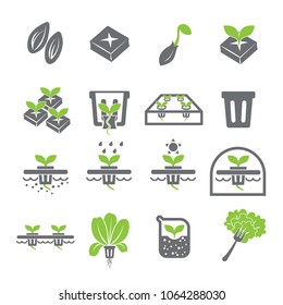 Hydroponic Icon Set.Plant Growing Without Soil.