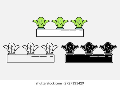 Ilustração hidropônica da alface em três estilos diferentes. Produtos hortícolas hidropônicos. Tema da agricultura. Agricultura moderna, ilustração vetorial.