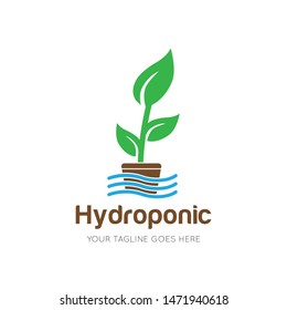 hydroponic logo and icon vector illustration design template