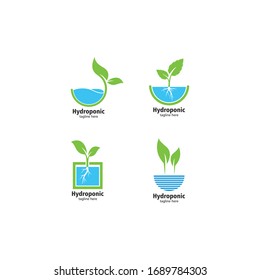 Ilustración de iconos vectoriales de logotipo hidroponico 