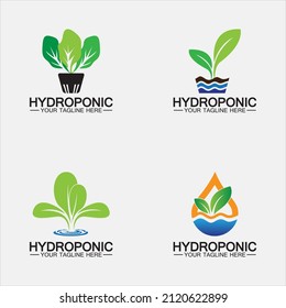 Hydroponic logo vector icon illustration design