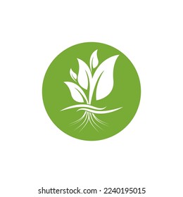 Hydroponic Logo Vector Template Illustration