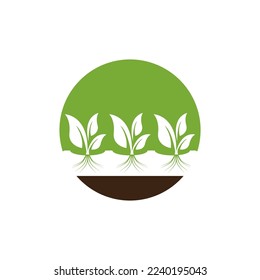 Hydroponic Logo Vector Template Illustration