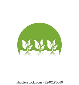 Hydroponic Logo Vector Template Illustration