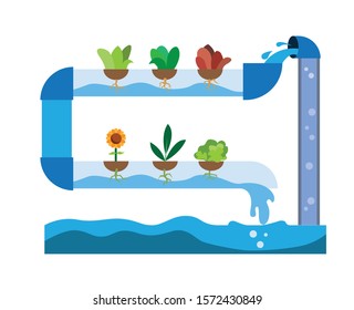 hydroponic modern farm infographic illustration vector design 