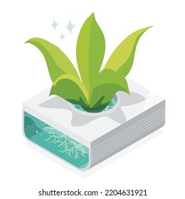 hydroponic organic close up isometric icon