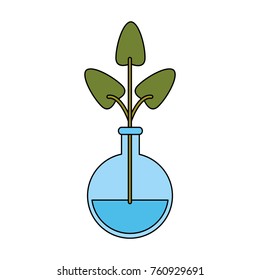 hydroponic plant in container