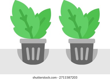 Hydroponic Plants in Indoor Garden Setup