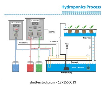 hydroponic process, plant tree without water for greenhouse system, save water , love earth, cartoon flat design vector on white background.