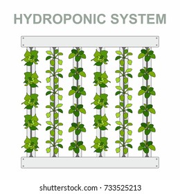 Hydroponic System, vertical pipe