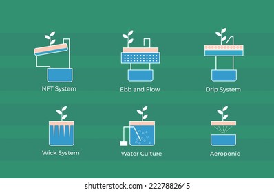 hydroponic types include NFT System, ebb and flow, drip system, wick system, water culture and aerophonic