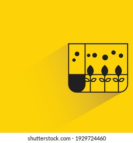 hydroponic vegetables with shadow on yellow background