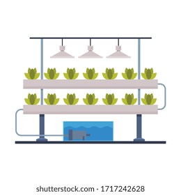 Hydroponics and Aeroponics Gardening System, Eco Friendly Organic Farming Technology with Plants Growing In Pots and Mineral Fertilizers Flat Vector Illustration