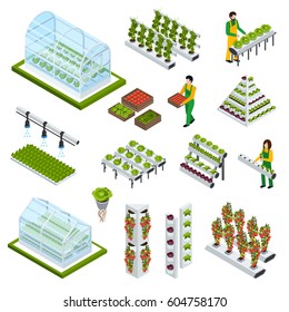 Hydroponics and aeroponics isometric icons set with greenhouse symbols isolated vector illustration