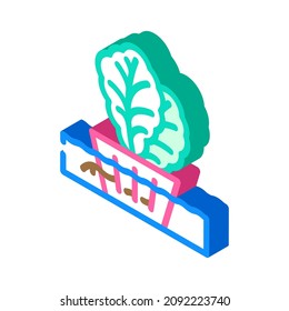 hydroponics agricultural plant isometric icon vector. hydroponics agricultural plant sign. isolated symbol illustration