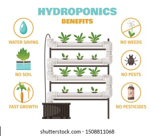 Hydroponics benefits concept with water saving and fast growth symbols cartoon vector illustration