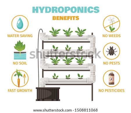 Hydroponics benefits concept with water saving and fast growth symbols cartoon vector illustration