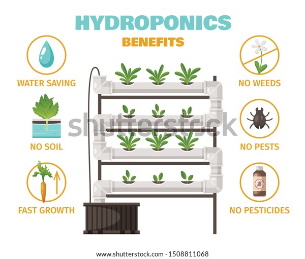 節水と速成長記号の漫画ベクターイラストによる水耕栽培の利点のコンセプト のベクター画像素材 ロイヤリティフリー