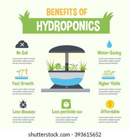 Hydroponics benefits infographic. Vector hydroponic gardening illustration. Infographic element and icons.