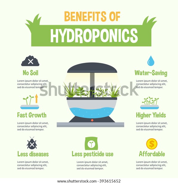 Hydroponics benefits\
infographic. Vector hydroponic gardening illustration. Infographic\
element and icons.