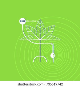 Hydroponics. Equipment for drip irrigation system. Drop pipe, dropper, plant. Vector linear icon.