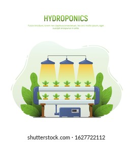 Hydroponics farm. Vegetables hydroponic system isolated on white background. Hydroponics method of growing plants without soil organic agriculture for health food. Vector illustration.