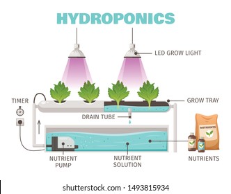 Hydroponics farming concept with vertical water saving  symbols cartoon vector illustration