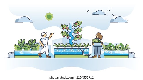 Hydroponics farming as horticulture plant growing method outline concept. Smart automatic system without soil for effective growth vector illustration. Innovative technology for food production.