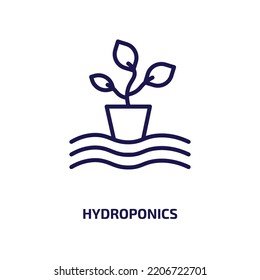 Hydroponics Symbol aus Aktivität und Hobbies Sammlung. Dünne, lineare Hydroponik, hydroponisch, Samen-Umriss-Symbol einzeln auf weißem Hintergrund. Linearvektorhydroponik-Zeichen, Symbol für Web und Mobilfunk