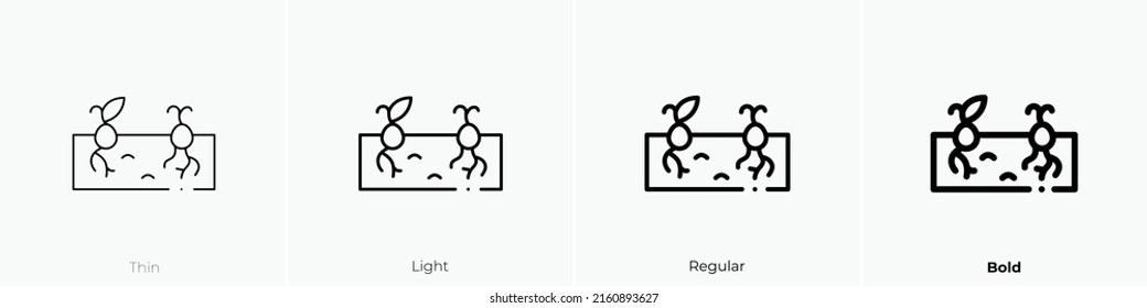 icono hidroponico. Signo de estilo lineal aislado en fondo blanco. Ilustración vectorial.